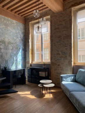 Appartement de canut